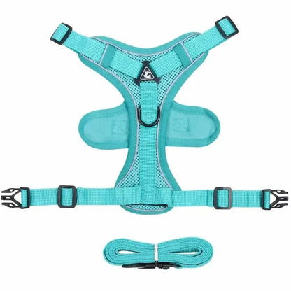 Y-Shaped Harness for Cats