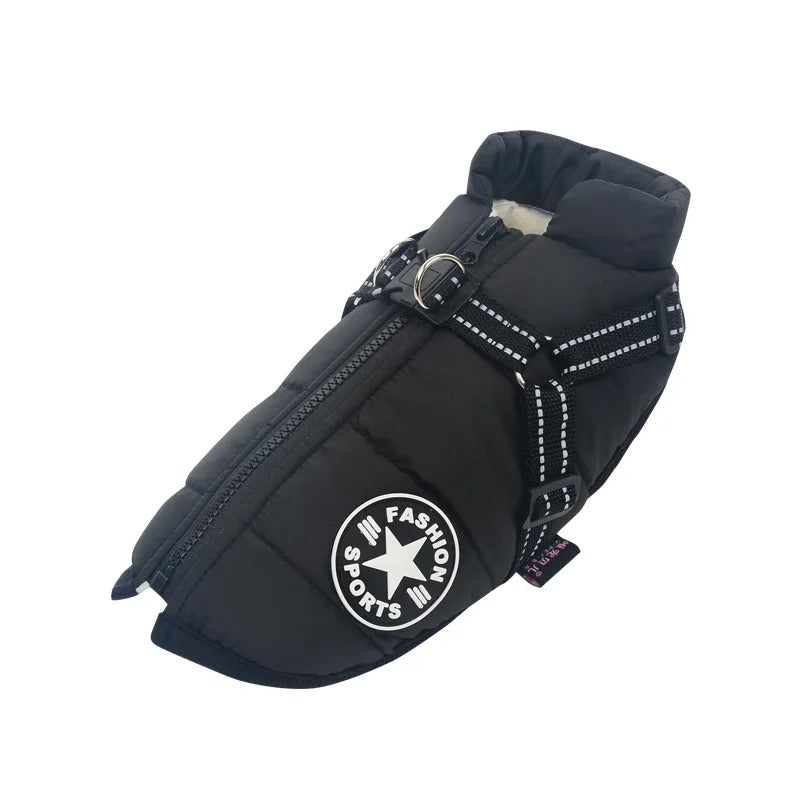 Weatherproof Dog Coat for All Seasons