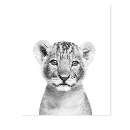 Canvas Print of Black and White African Lion Wall Art