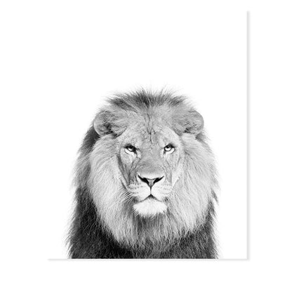 Canvas Print of Black and White African Lion Wall Art