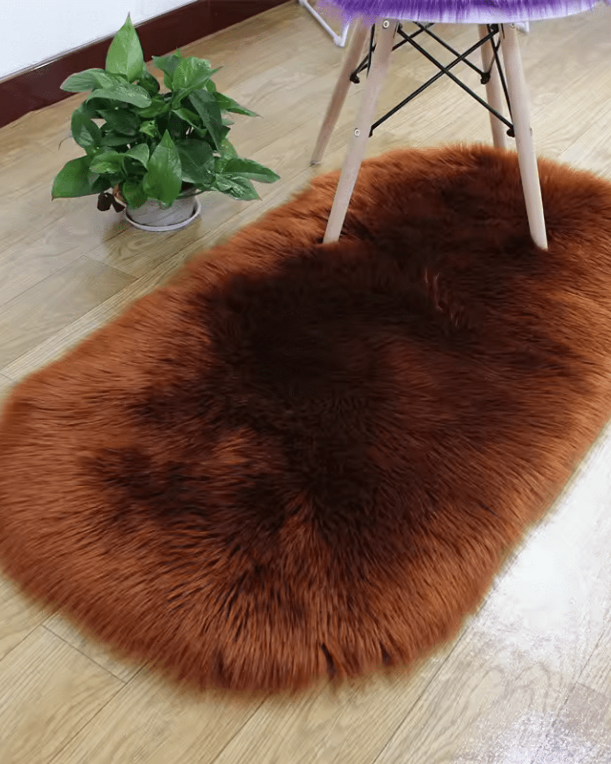 Luxurious Soft Velour Carpet for a Cozy Home Atmosphere