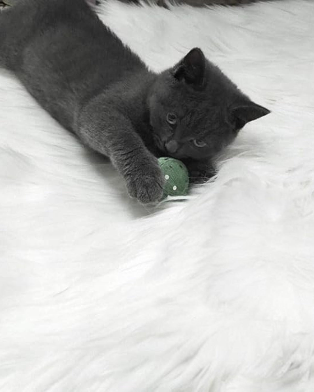 Luxurious Soft Velour Carpet for a Cozy Home Atmosphere
