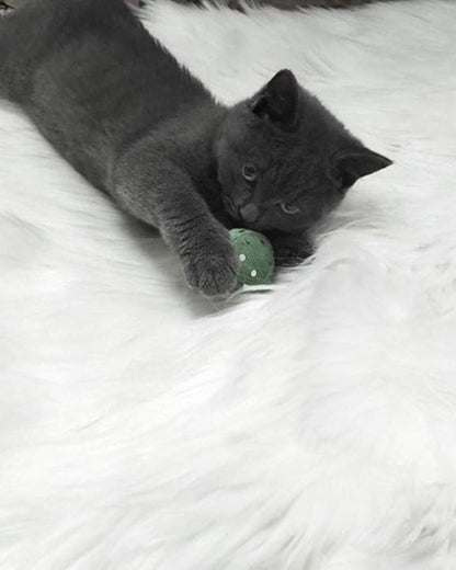 Luxurious Soft Velour Carpet for a Cozy Home Atmosphere