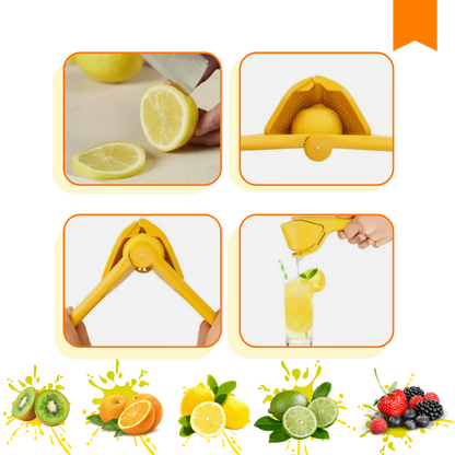 Versatile Manual Citrus Juicer