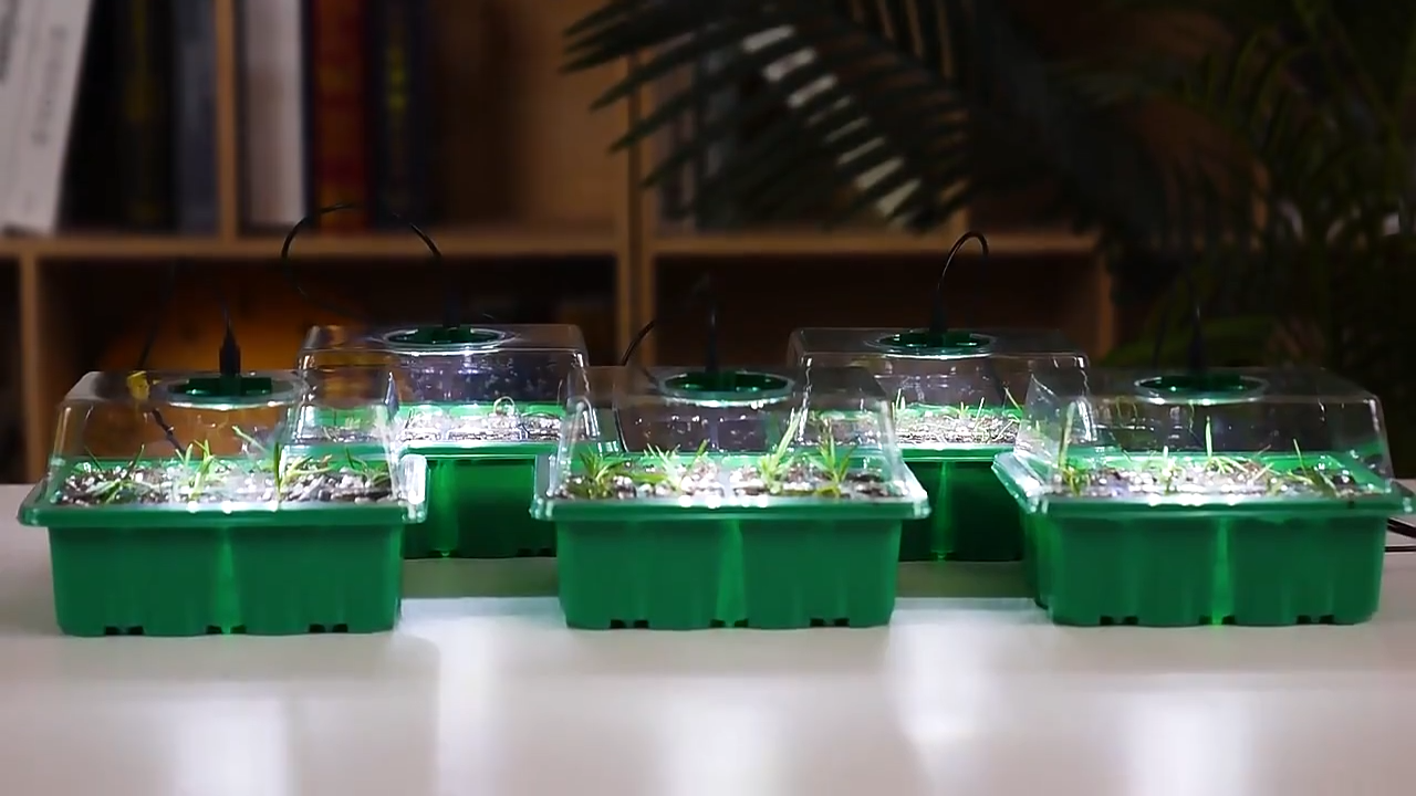 Indoor Seedling Greenhouse with LED Growth Light