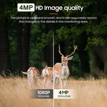 Backyard Trail Camera for Wildlife Monitoring