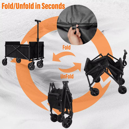 Pet Roller Toy for Interactive Play and Exercise