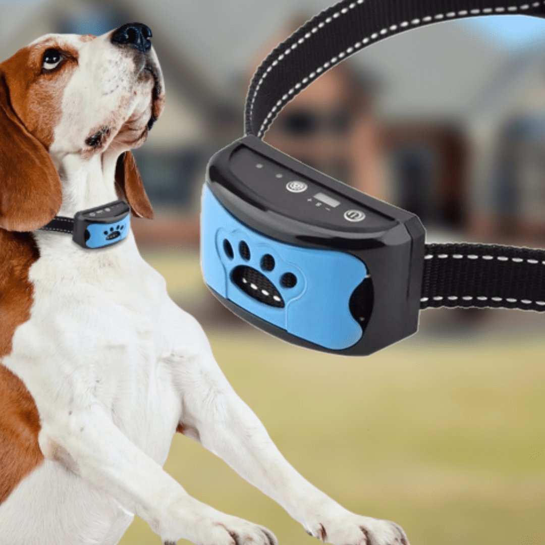 Vibration Training Collar for Bark Control