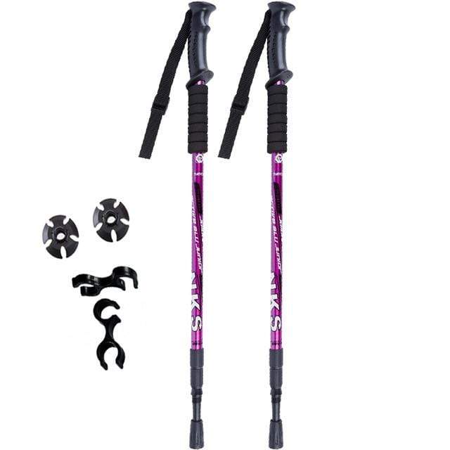 Set of 2 Shock-Absorbing Nordic Trekking Poles for Adventurers