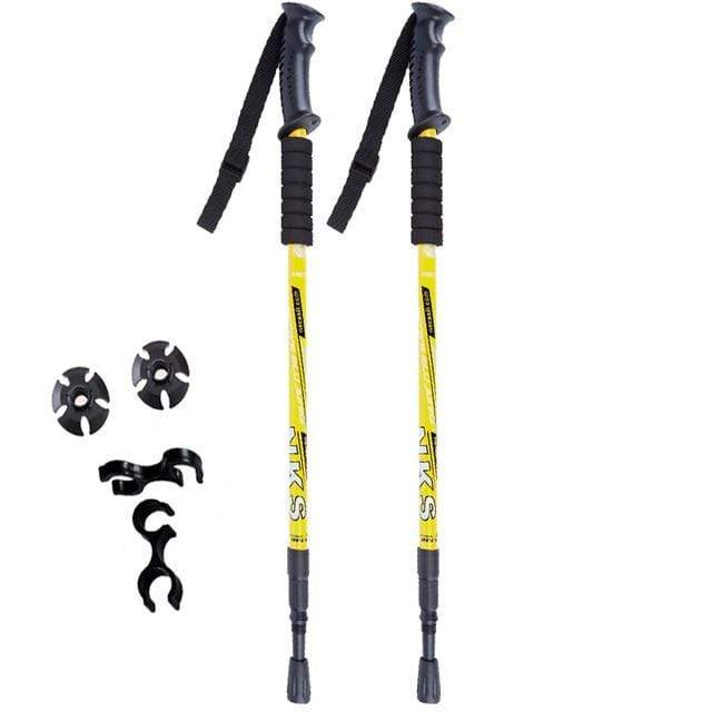Set of 2 Shock-Absorbing Nordic Trekking Poles for Adventurers