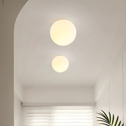Elegant Frosted Globe Wall Light for Modern Spaces