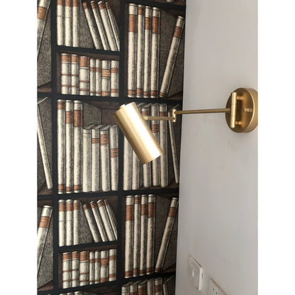 Versatile Swing Arm Wall Light for Enhanced Illumination