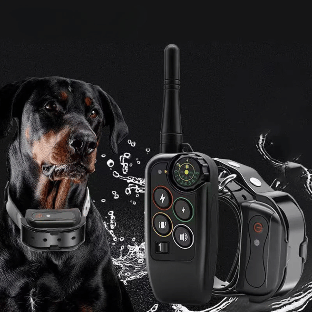 Long-Range Waterproof Dog Training Collar with Remote Control