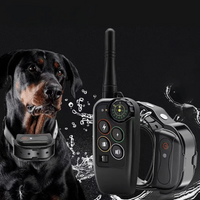 For 2 Dogs | Black