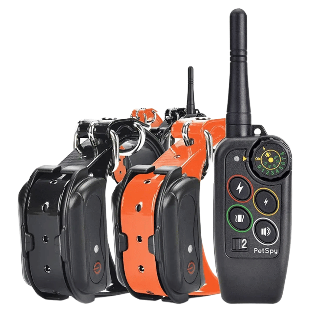 Long-Range Waterproof Dog Training Collar with Remote Control