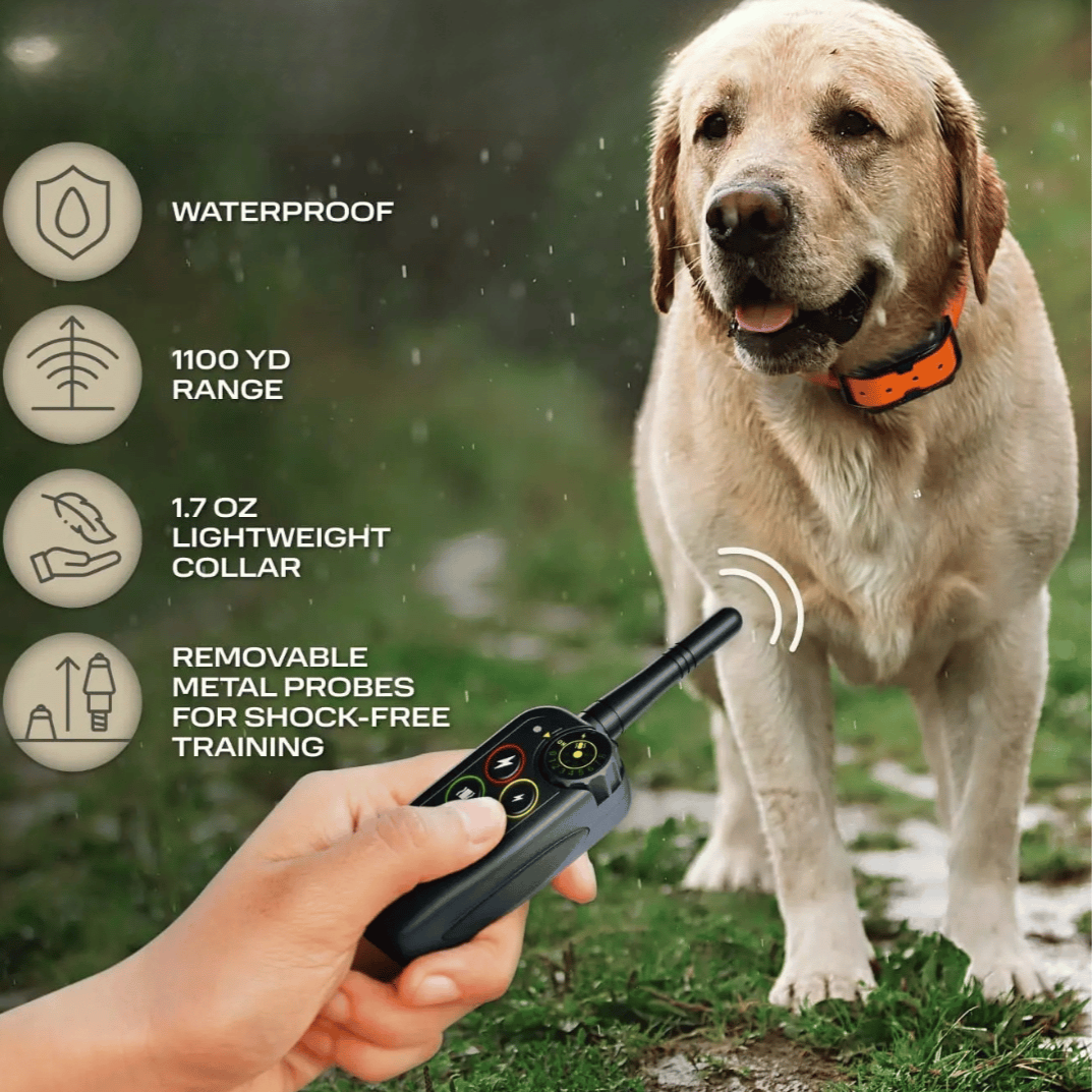 Long-Range Waterproof Dog Training Collar with Remote Control