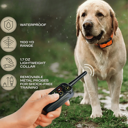 Long-Range Waterproof Dog Training Collar with Remote Control