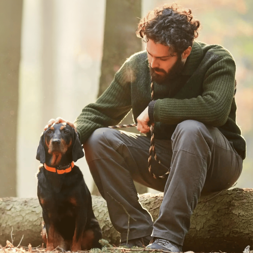 Long-Range Waterproof Dog Training Collar with Remote Control