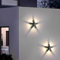 Starfish