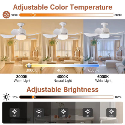 LED Light and Ceiling Fan Combo with Screw-In Design