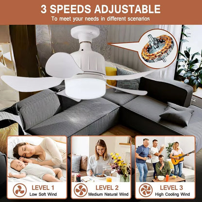 LED Light and Ceiling Fan Combo with Screw-In Design