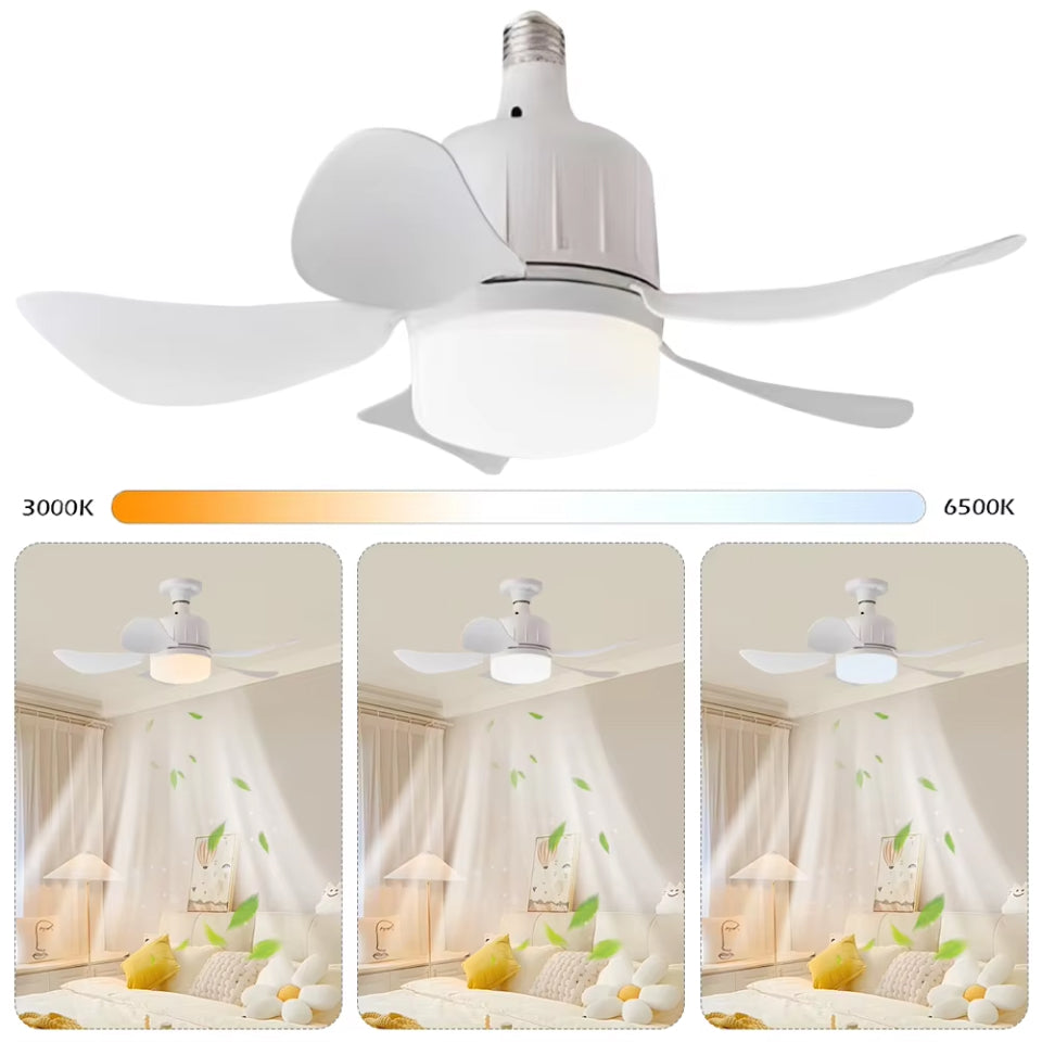 LED Light and Ceiling Fan Combo with Screw-In Design