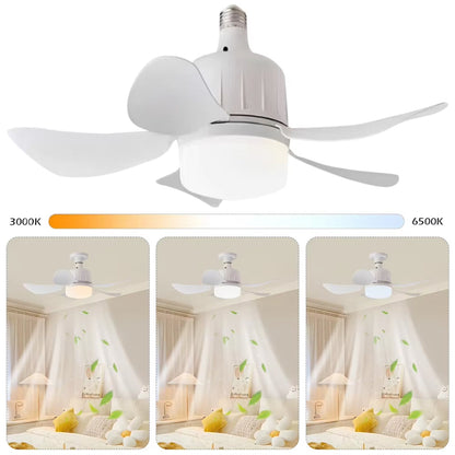 LED Light and Ceiling Fan Combo with Screw-In Design