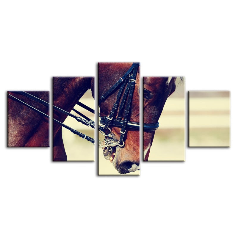 Stunning 5-Piece Canvas Art Featuring a Majestic Horse