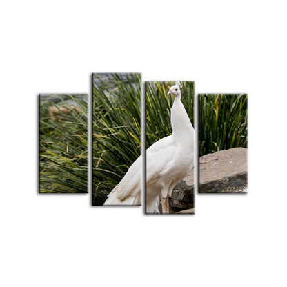 Serene Snowy Peacock - 4 Piece Canvas Art Set