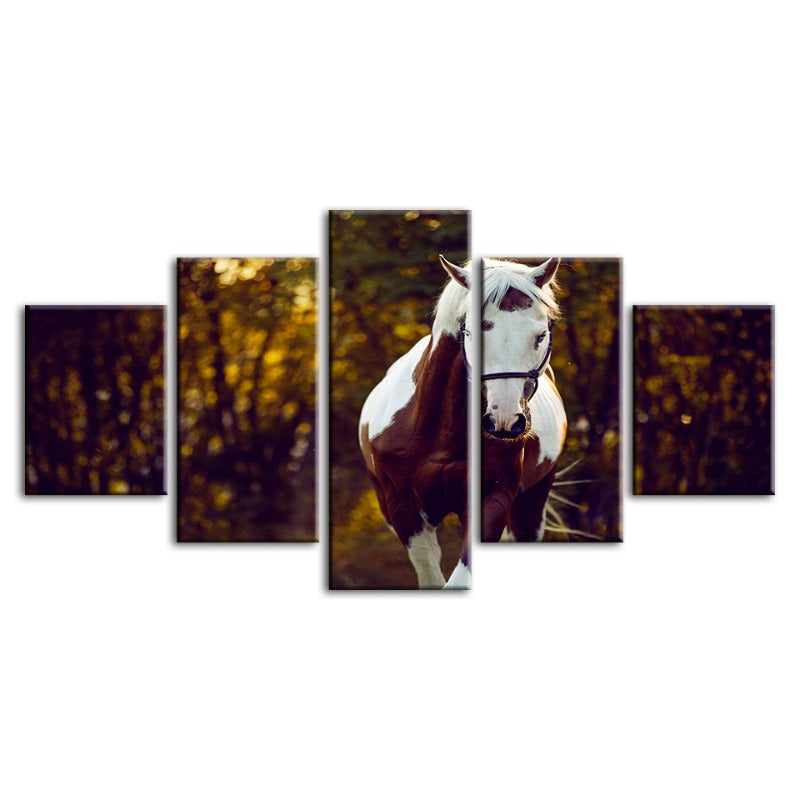 Serene Overo Horse Canvas Art Set – 5 Panel Decor