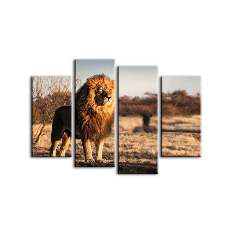 Stunning Lion Serenity - 4-Piece Canvas Art Set