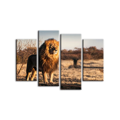 Stunning Lion Serenity - 4-Piece Canvas Art Set