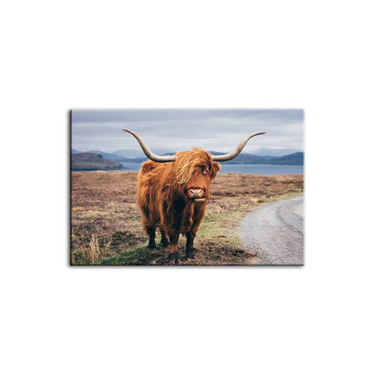 Canvas Wall Art of a Charming Brown Cow