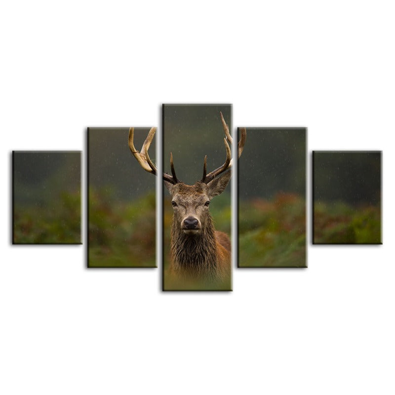 Serene Forest Friends - 5 Piece Canvas Art Set
