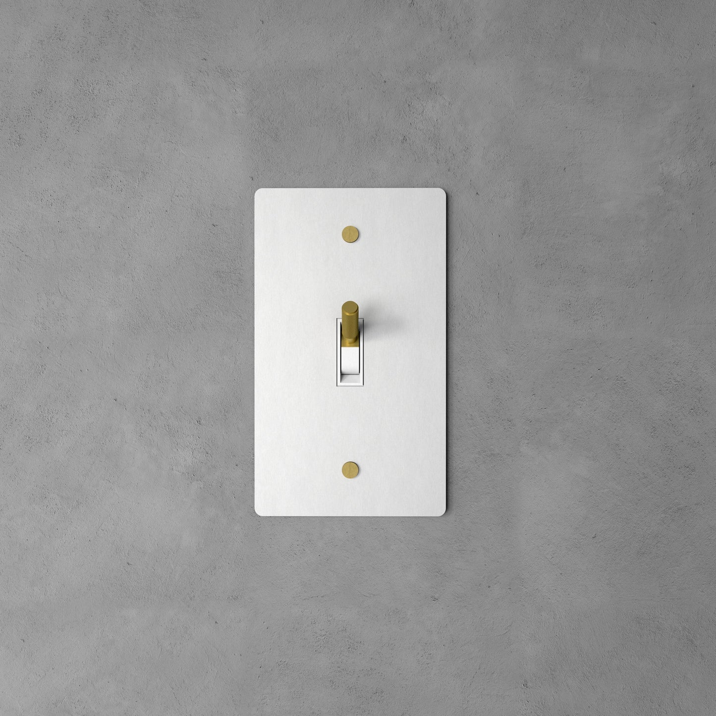 Brass Rocker Switch