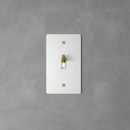 Brass Rocker Switch