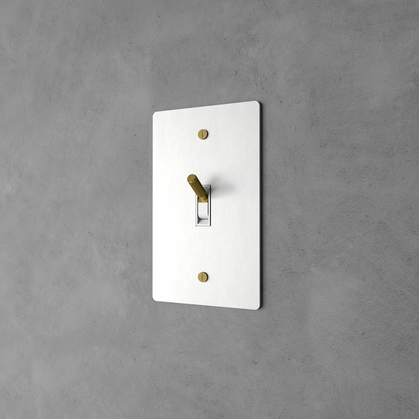 Brass Rocker Switch