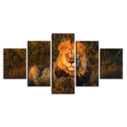 Majestic Lion Canvas Art Set - 5 Pieces for Home Decor