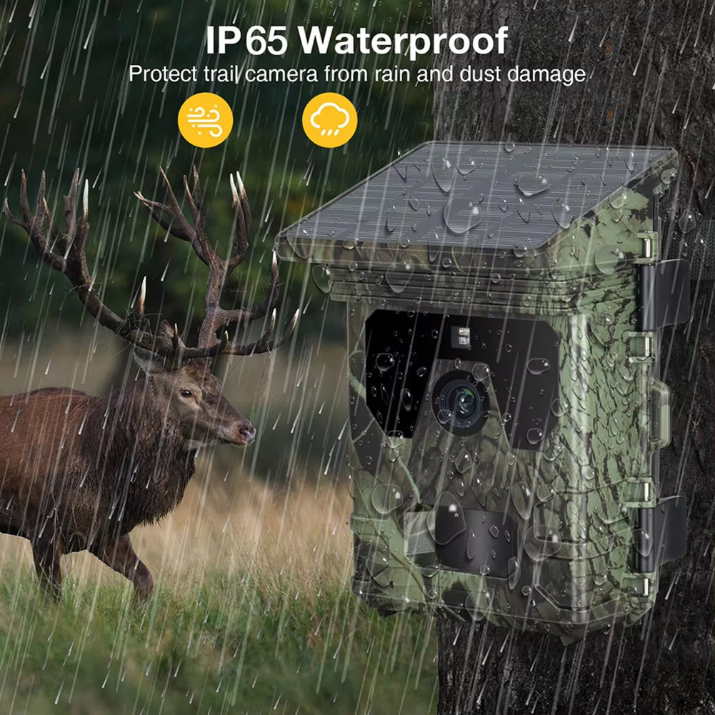 Trail Camera v2 for Wildlife Monitoring