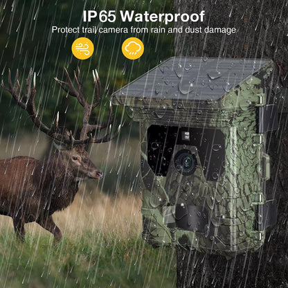 Trail Camera v2 for Wildlife Monitoring