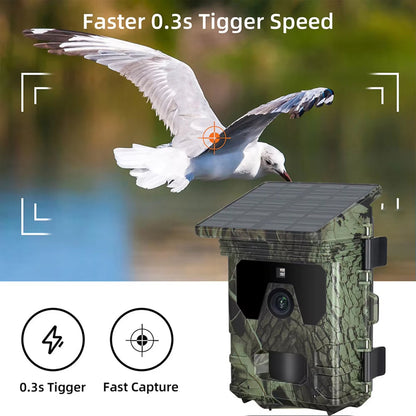Trail Camera v2 for Wildlife Monitoring