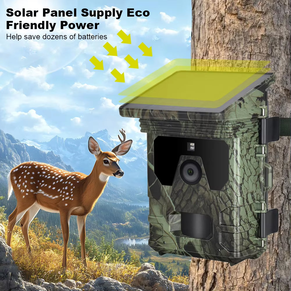 Trail Camera v2 for Wildlife Monitoring
