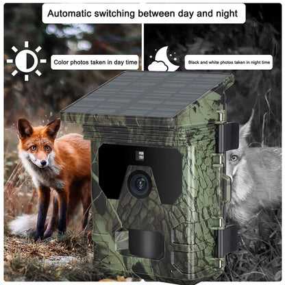 Trail Camera v2 for Wildlife Monitoring