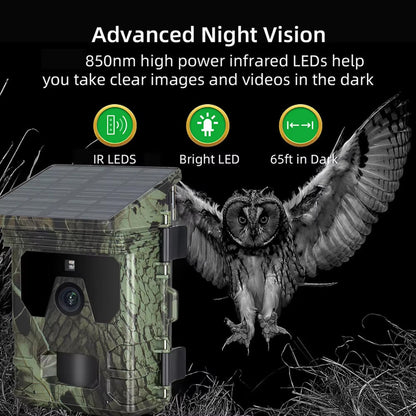 Trail Camera v2 for Wildlife Monitoring