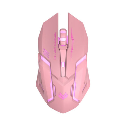 Ergonomic Wireless Gaming Mouse with Customizable Features