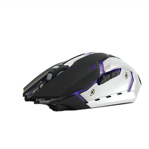 Ergonomic Wireless Gaming Mouse with Customizable Features