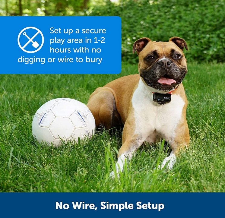 Adjustable Wireless Collar System for Safe-Zone Dog Training
