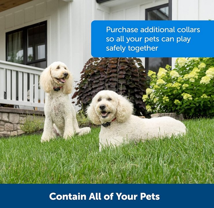 Adjustable Wireless Collar System for Safe-Zone Dog Training