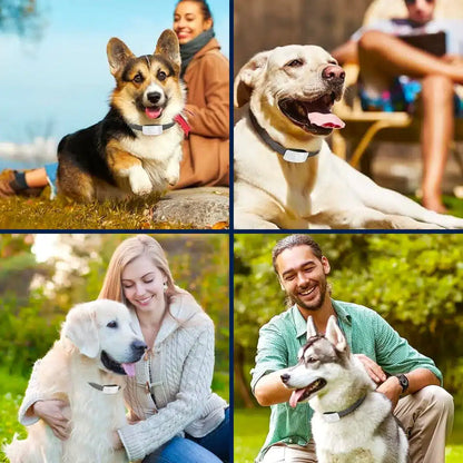 Smart Anti-Bark Training Collar for Dogs