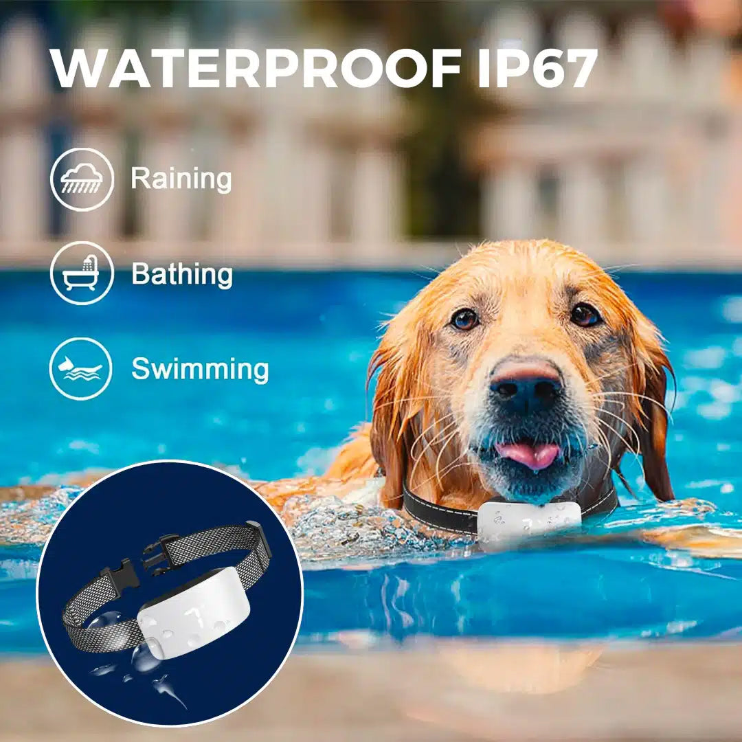 Smart Anti-Bark Training Collar for Dogs